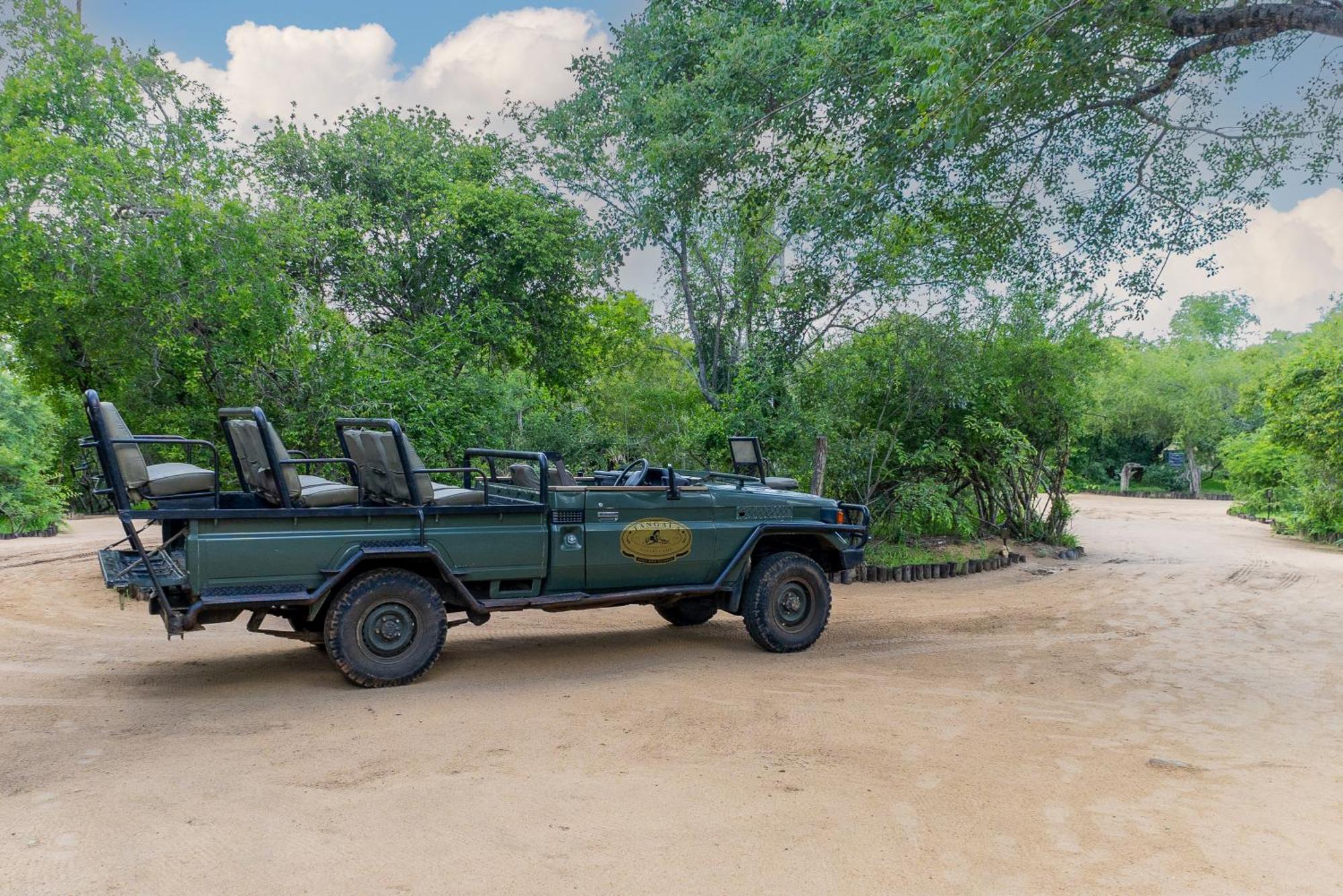 Вілла Tangala Safari Camp заповідник Торнібуш Екстер'єр фото